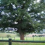 B&B La Ferme Fleurie Bourg-de-Thizy
