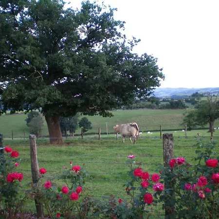La Ferme Fleurie Bed & Breakfast Bourg-de-Thizy
