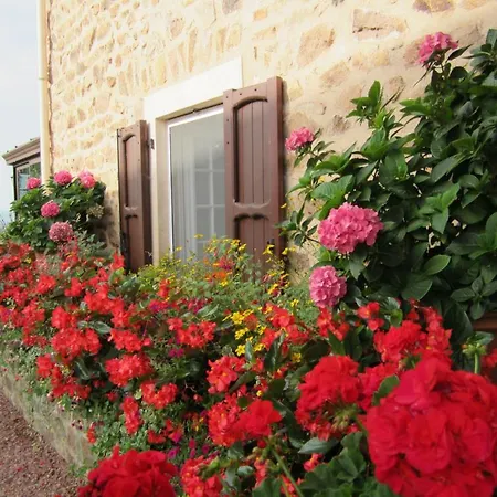 Bed & Breakfast La Ferme Fleurie Bourg-de-Thizy